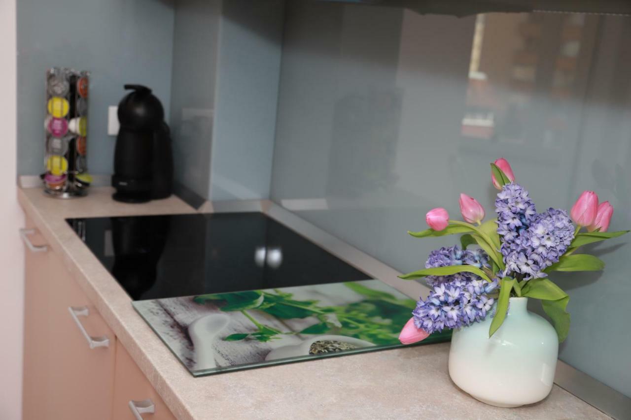 Cozy Apartment In ブラショフ エクステリア 写真